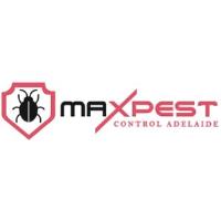 Max Spider Control Adelaide image 1